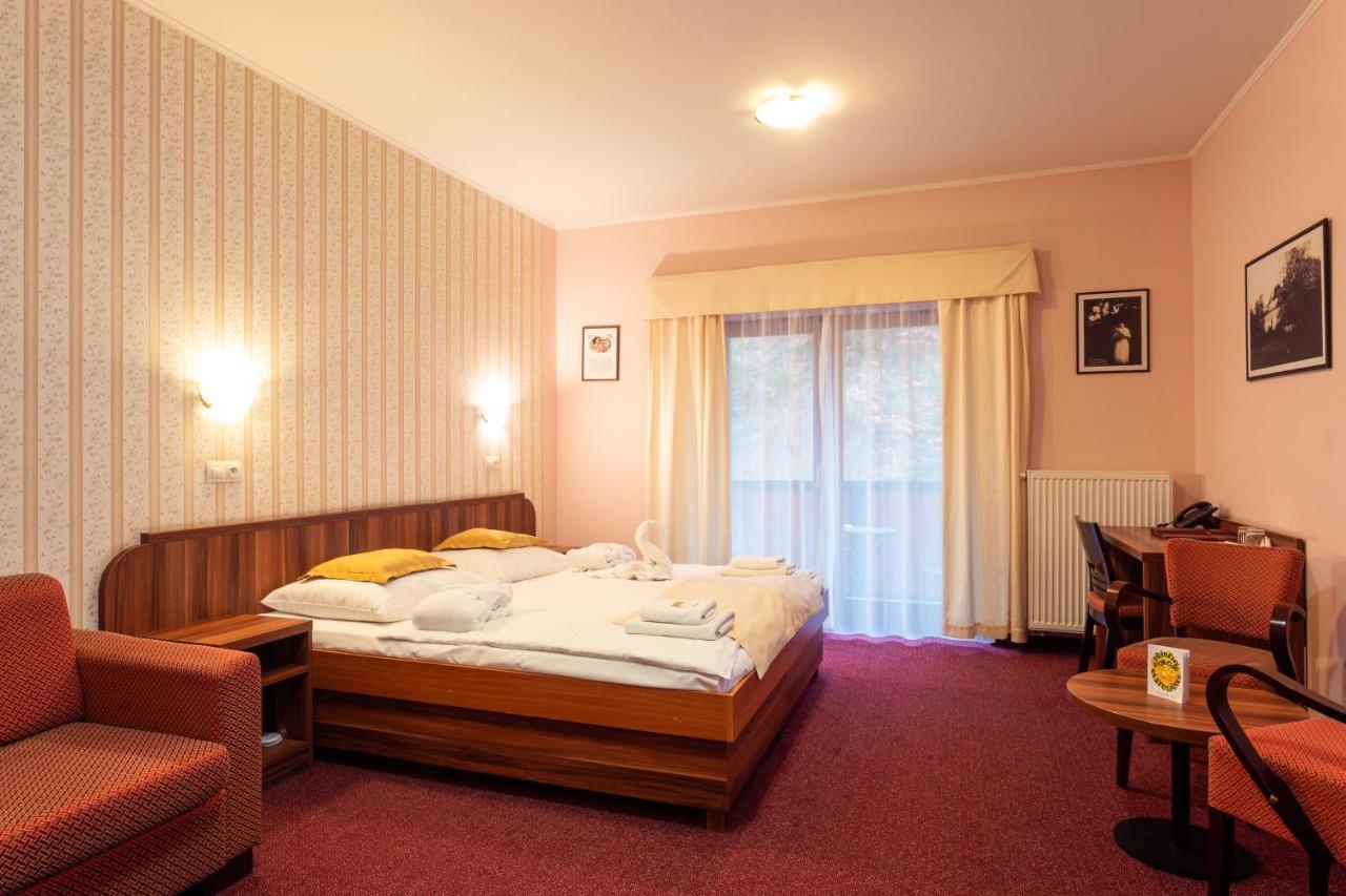 Hotel Studanka Рихнов-над-Кнєжноу Екстер'єр фото